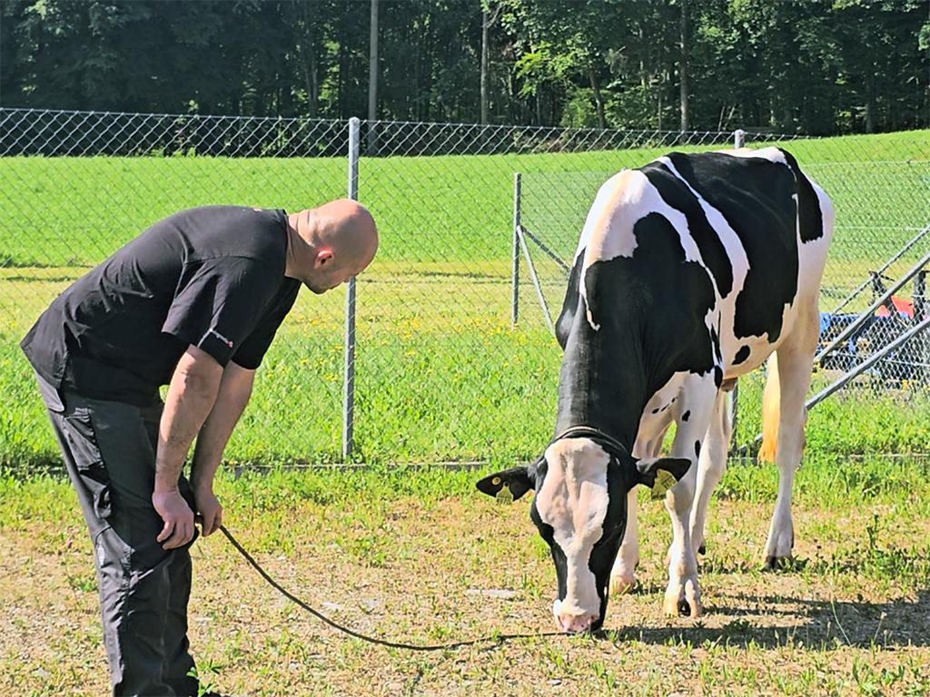 CONTIGO – die Schweizer Erfolgsgeschichte, die international funktioniert CONTIGO überzeugt international mit über 40’000 verkauften Dosen, Spitzenwerten bei TPI und LPI sowie Töchtern mit Höchstindexen in Europa. Seine leistungsstarke Familie und das komplette Profil machen ihn zu einem weltweit gefragten Vererber.